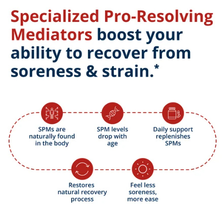 SPM Active One Daily Metagenics