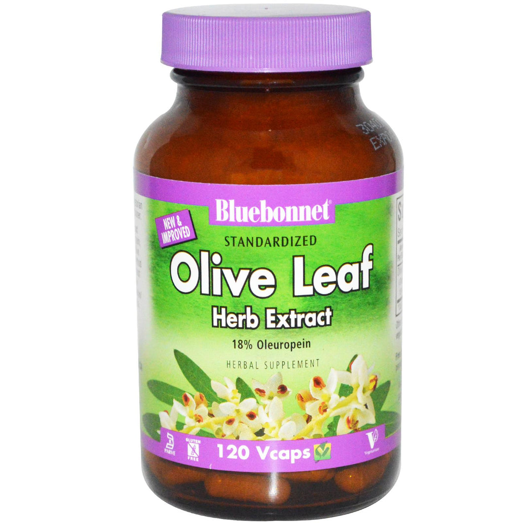 Bluebonnet Standardized Olive Leaf Herb Extract 60 Capsules Front